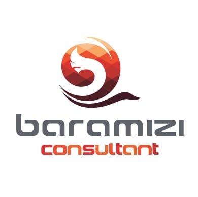 Baramizi Consultant