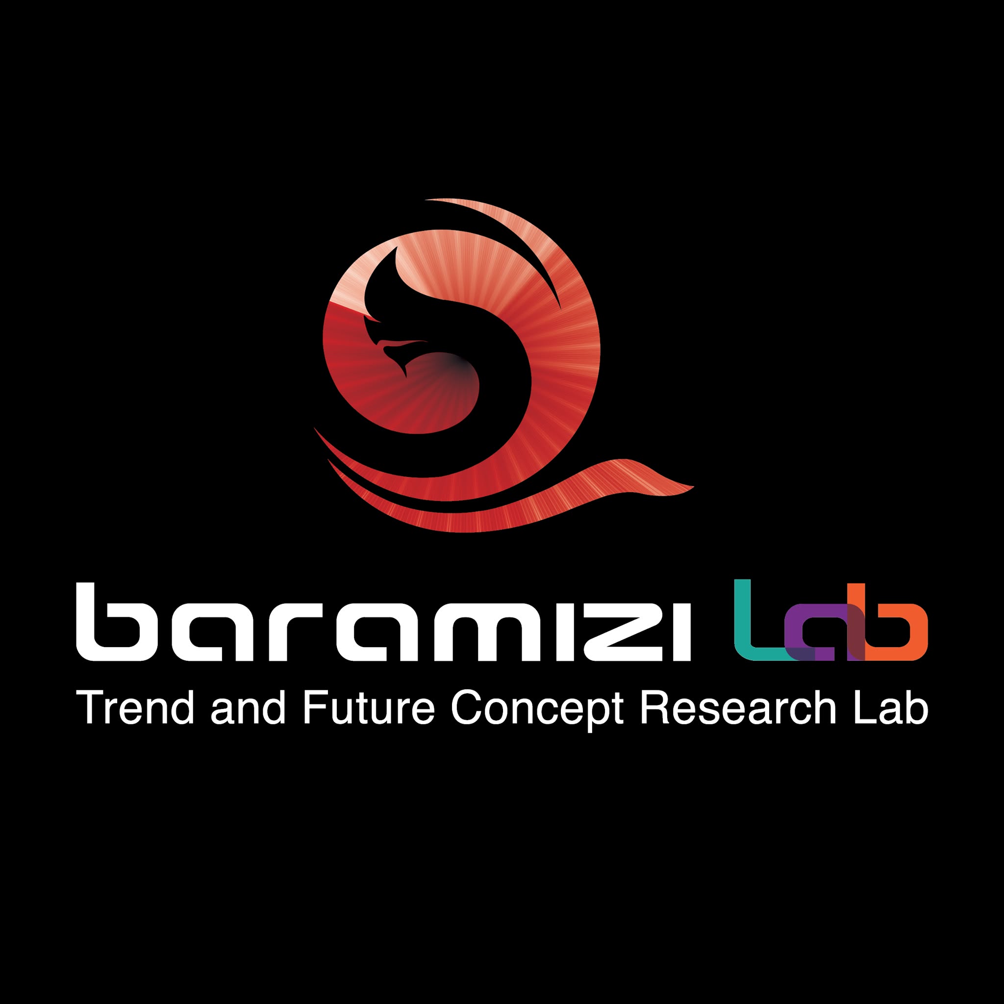 Baramizi Lab
